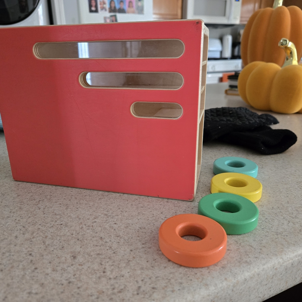 Colorful Wooden Sorting Toy